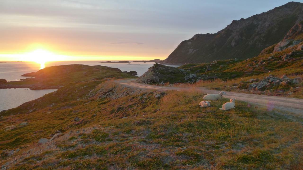 Apartment For Holiday In Nyksund 외부 사진